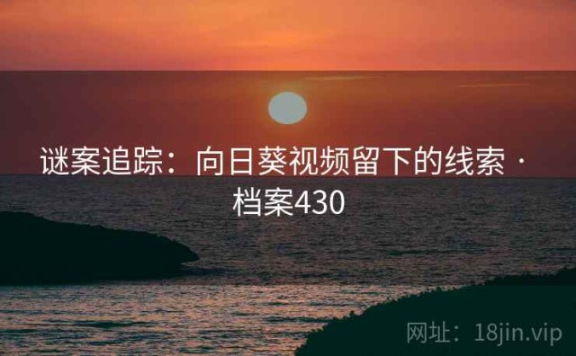谜案追踪：向日葵视频留下的线索 · 档案430