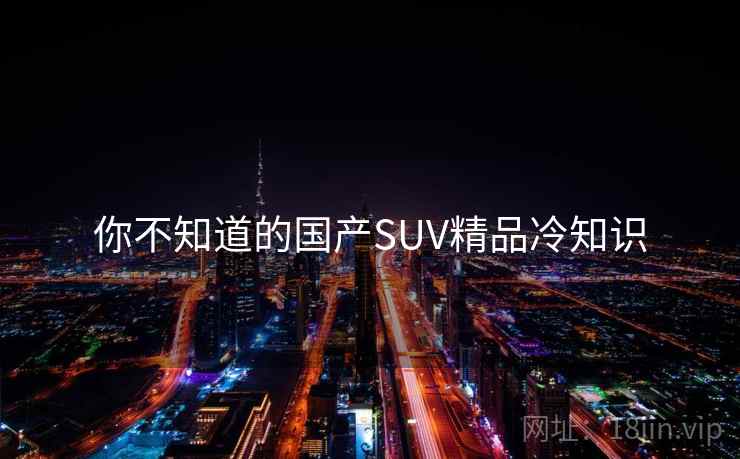 你不知道的国产SUV精品冷知识