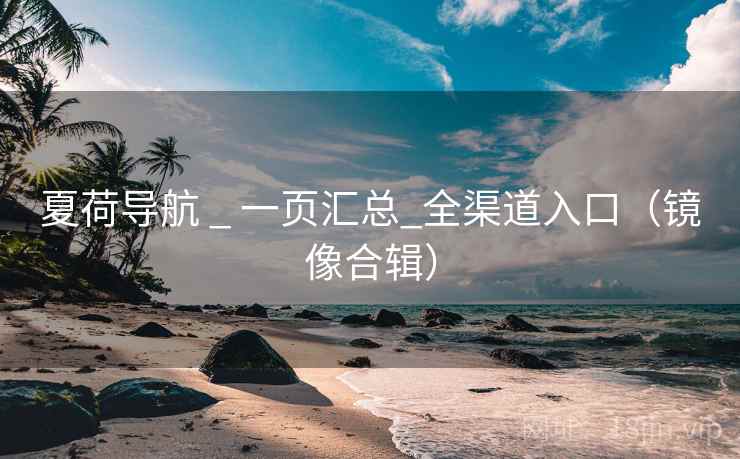 夏荷导航 _ 一页汇总_全渠道入口（镜像合辑）