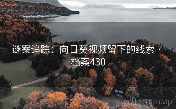 谜案追踪:向日葵视频留下的线索 · 档案430 谜案追踪:向日葵视频留下的线索 · 档案430